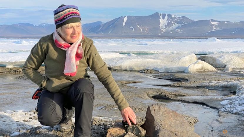 Greenland expedition discover 'world's northernmost island' Greenland expedition discover 'world's northernmost island'