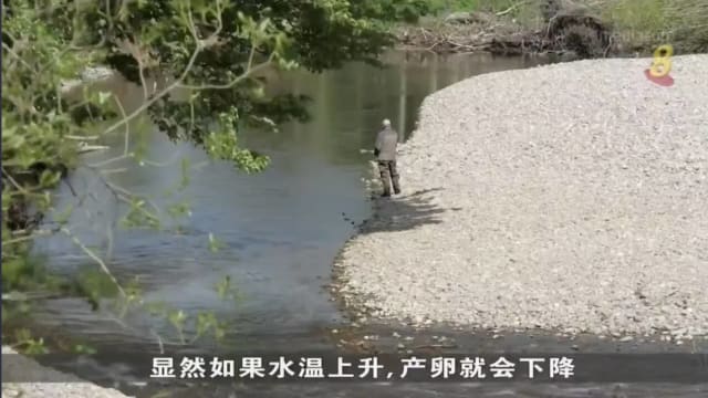 英格兰河流污染 政府被指长期拨款及检测力度不足