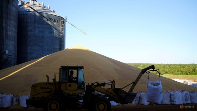 Brazil's corn exports to China requires GMO deal: Producers association Brazil's corn exports to China requires GMO deal: Producers association