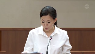 Committee of Supply 2023 debate, Day 7: Cheng Li Hui on harmony circles and SG Mental Well-Being Network
