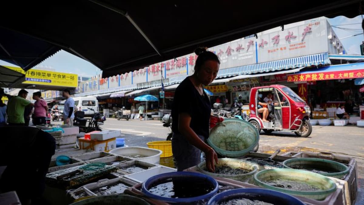 ‘Talk quietly’: Japan tells citizens in China to lie low after Fukushima release