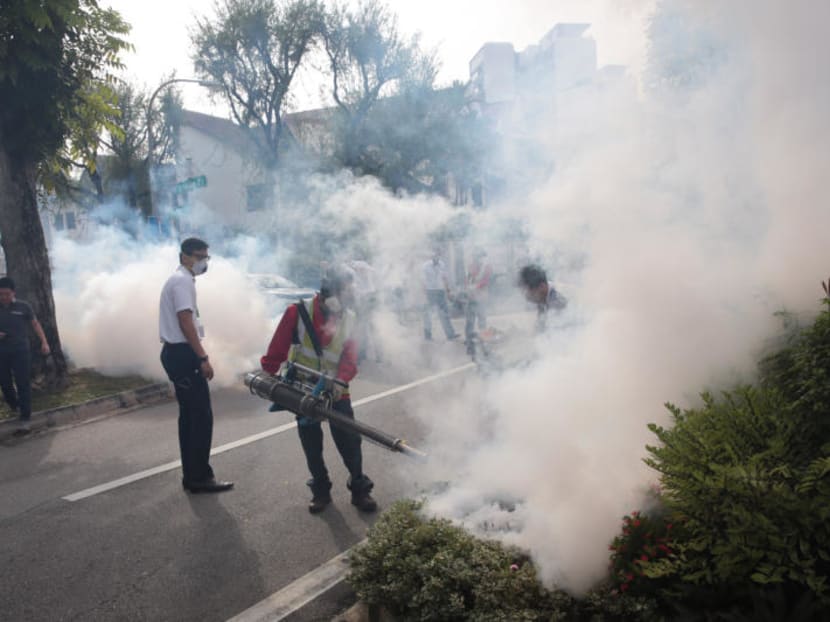 This file photo shows thermal fogging being done at Simon Place, where the first cases of Zika of 2017 were reported. TODAY file photo