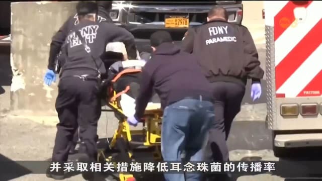 美国超级真菌耳念珠菌正速度传播 成为公共卫生威胁