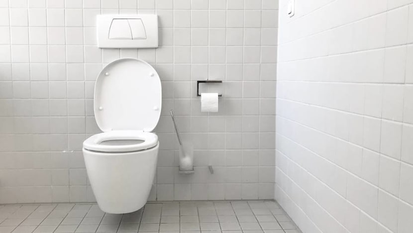 Commentary: Reducing household water consumption starts with the toilet bowl Commentary: Reducing household water consumption starts with the toilet bowl