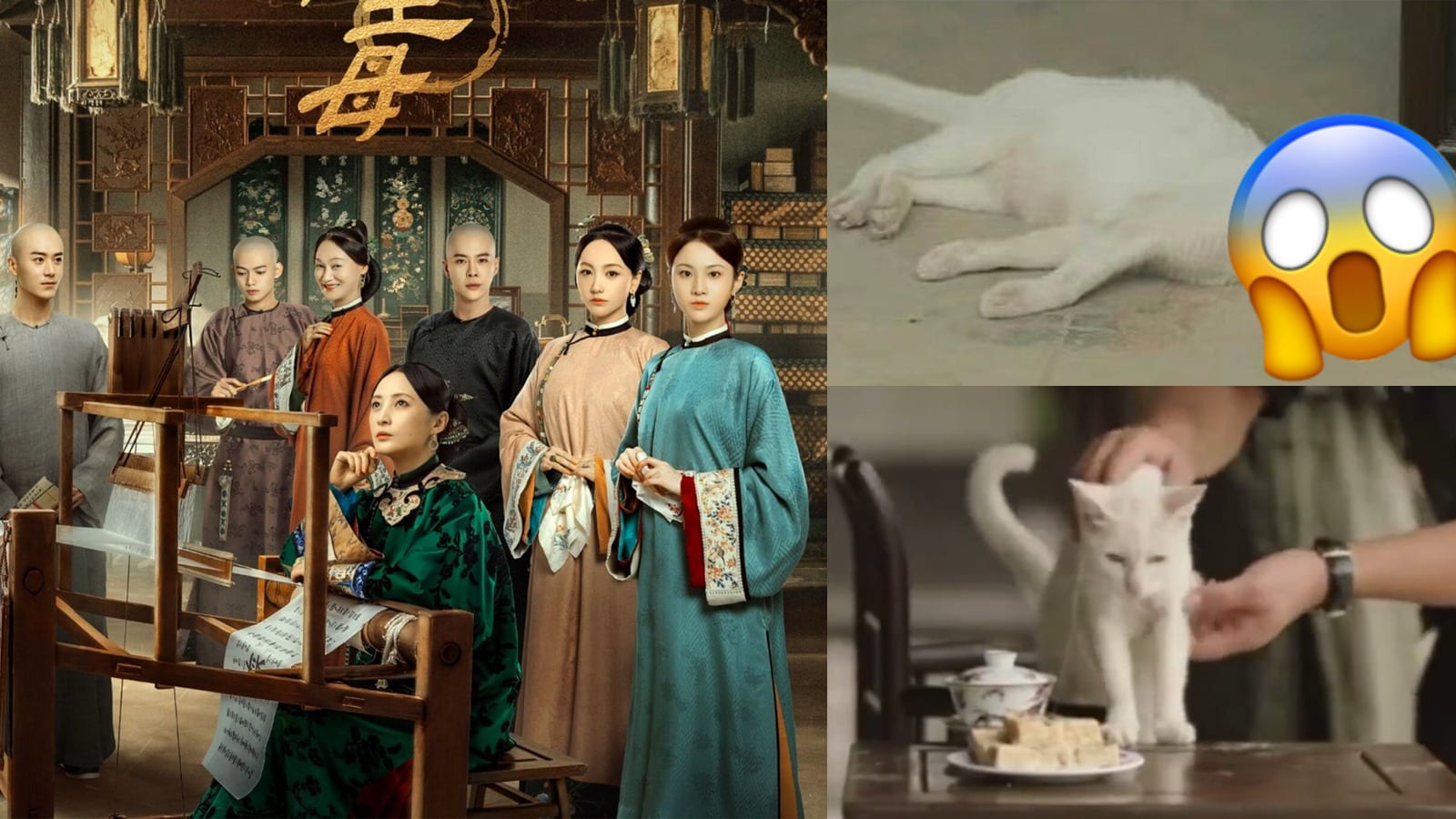Chinese Drama Marvellous Women Denies Killing Cat For Scene; Netizen Claims They Electrocuted It To Death Chinese Drama Marvellous Women Denies Killing Cat For Scene; Netizen Claims They Electrocuted It To Death