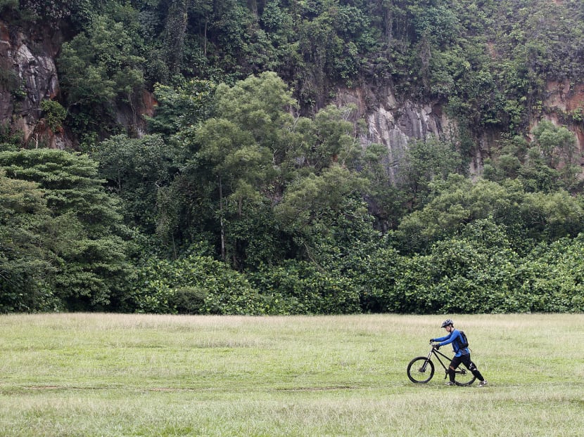 A man pushes his biccyle along the Bukit Timah Nature Reserve Mountain Biking Trail. Photo: Wee Teck Hian