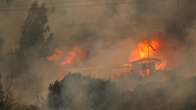 智利中部森林大火已被扑灭 共夺走131条人命