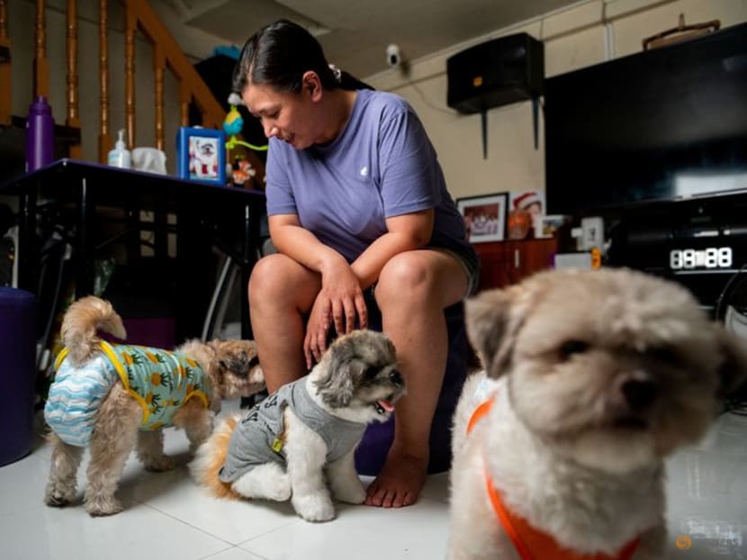 Philippine toy maker creates lifelike pet plushies for grieving owners