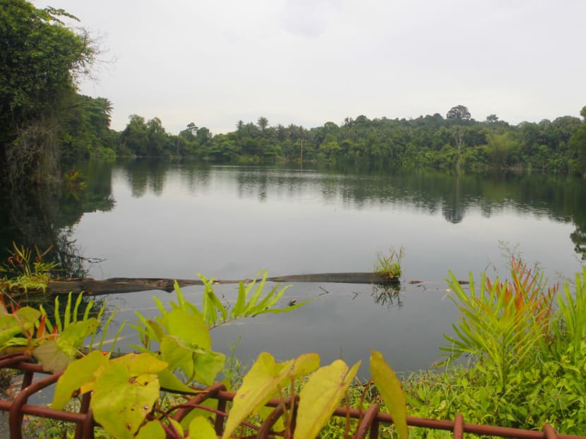 One of the oldest quarries on Pulau Ubin. TODAY file photo