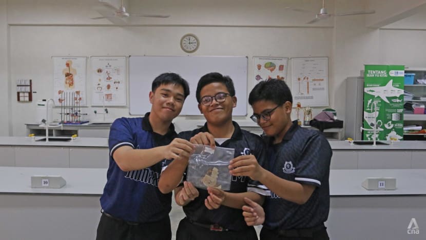 From their school lab in Sabah, students try to turn seaweed into bioplastic to fight marine litter