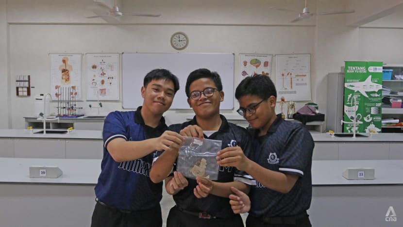 Atasi masalah sampah, pelajar di Malaysia coba ubah rumput laut jadi bioplastik Atasi masalah sampah, pelajar di Malaysia coba ubah rumput laut jadi bioplastik