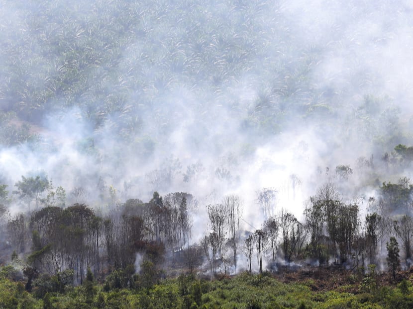 Asean agrees on plan for a haze-free region by 2020