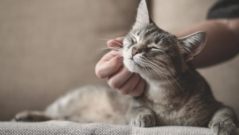 istock 1208470518