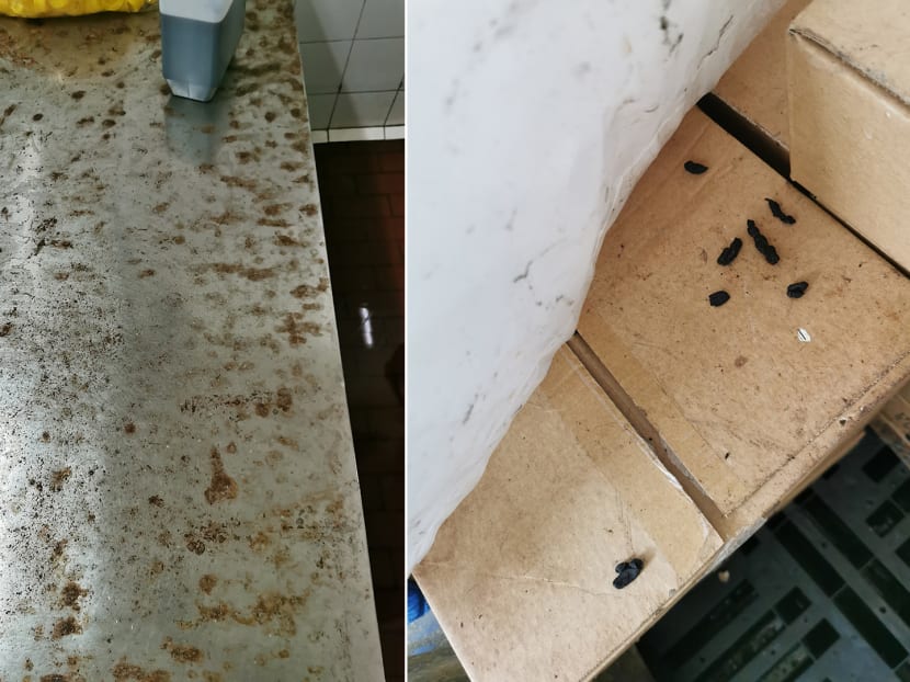 The Singapore Food Agency said it uncovered "several hygiene lapses" during an inspection of Teng Guan Food Industries on Oct 1 last year.