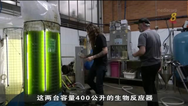 澳大利亚啤酒厂尝试新酿制过程减少二氧化碳排放 8world