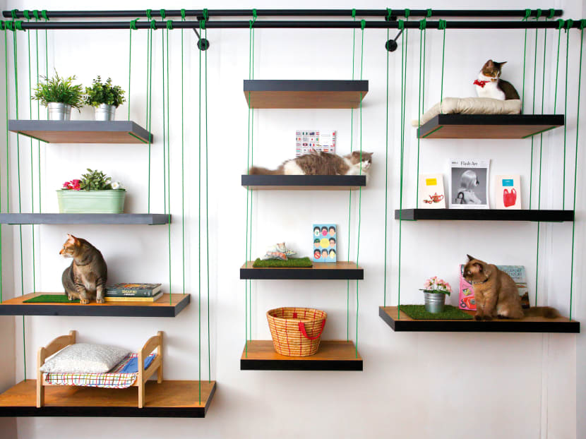 Enjoy The Company Of Cats at this new cafe. 
Photo: Desmond Lui