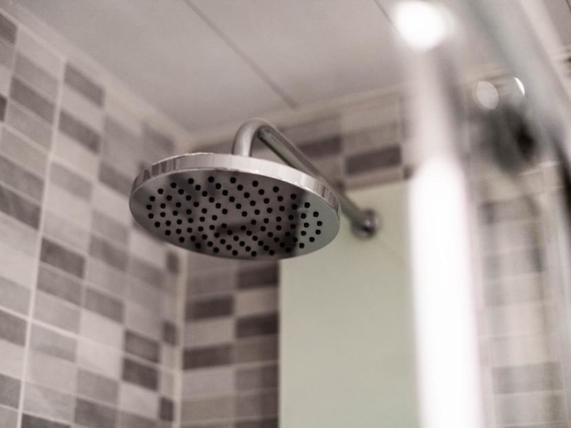 Man pleads guilty to filming teenage niece in the shower