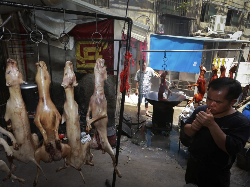 Animal rights activists target China dog meat festival