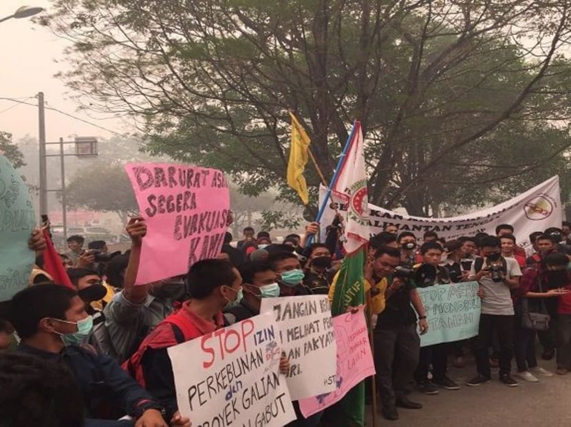 Protesters in Kalimantan decry Indonesian inaction against forest fires, haze