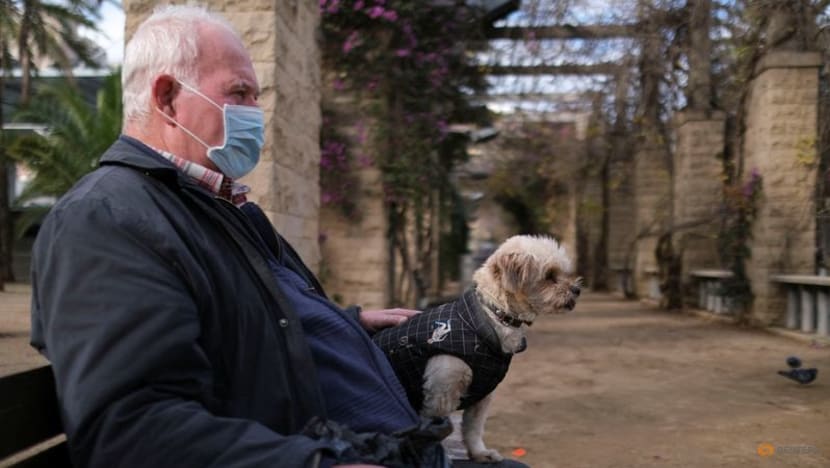 Dog custody: Spain to consider pets' welfare in divorce battles