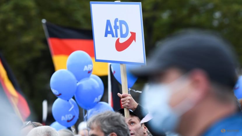 Pranksters target German far-right party with election campaign stunt Pranksters target German far-right party with election campaign stunt