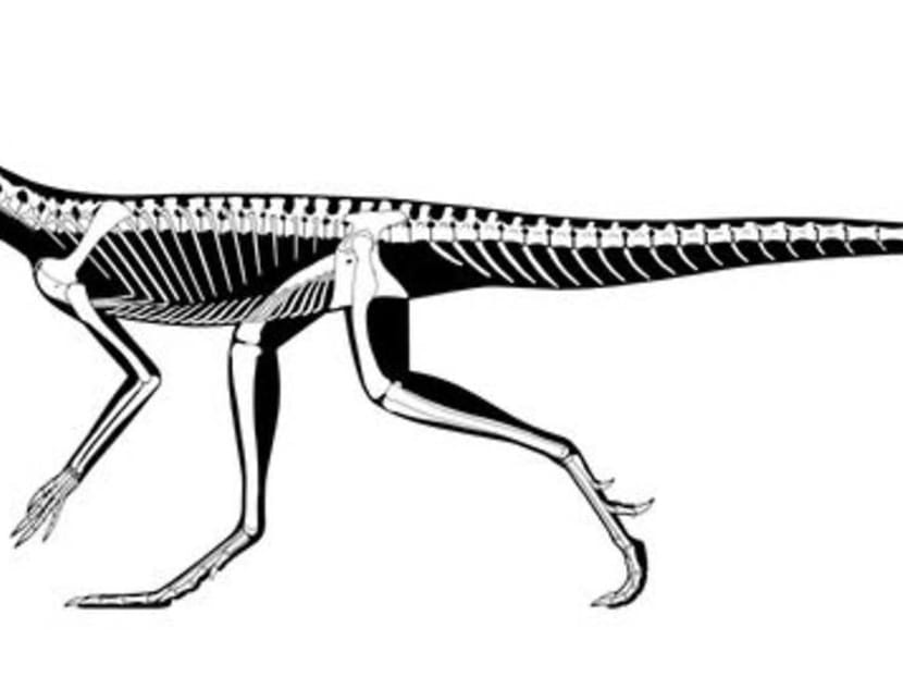 Scientists clarify origins of pterosaurs, the dinosaur era's flying reptiles Scientists clarify origins of pterosaurs, the dinosaur era's flying reptiles