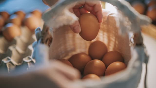 日本爆发禽流感及饲料价格上涨 导致鸡蛋短缺价格上涨