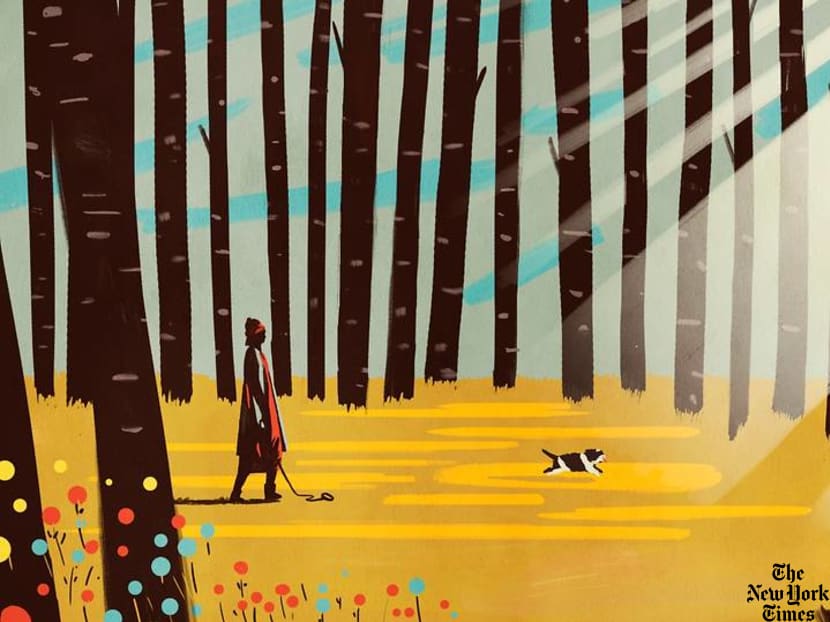 Animal hospice programme: Knowing the right time to say goodbye to a pet Animal hospice programme: Knowing the right time to say goodbye to a pet