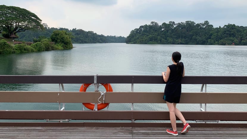 Commentary: Beyond scarcity and security, does Singapore need a new water narrative? Commentary: Beyond scarcity and security, does Singapore need a new water narrative?