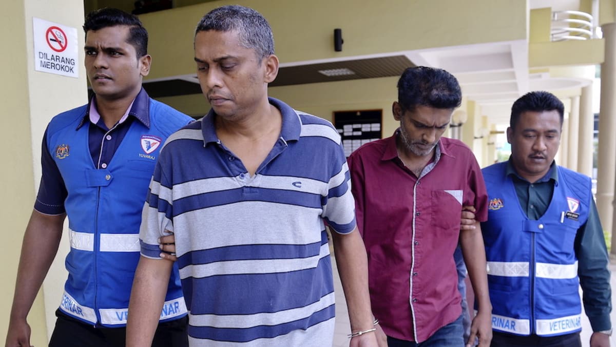 M'sian laundry cat killer jailed for two years TODAY