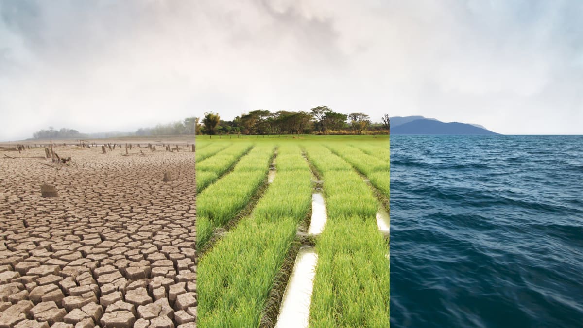 COP26: 10 alasan mengapa ini merupakan momen penting dalam perjuangan melawan perubahan iklim