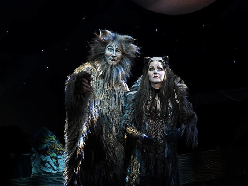 Cats the Musical ✓