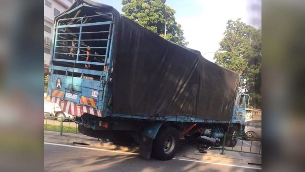 Sopir truk yang mengidap penyakit jantung kemungkinan besar terjatuh di belakang kemudi, menabrak pengendara sepeda motor dalam kecelakaan fatal: petugas koroner