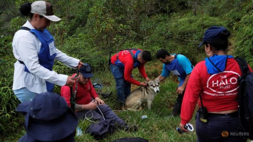 Colombian children learn to identify landmines buried during country's civil war
