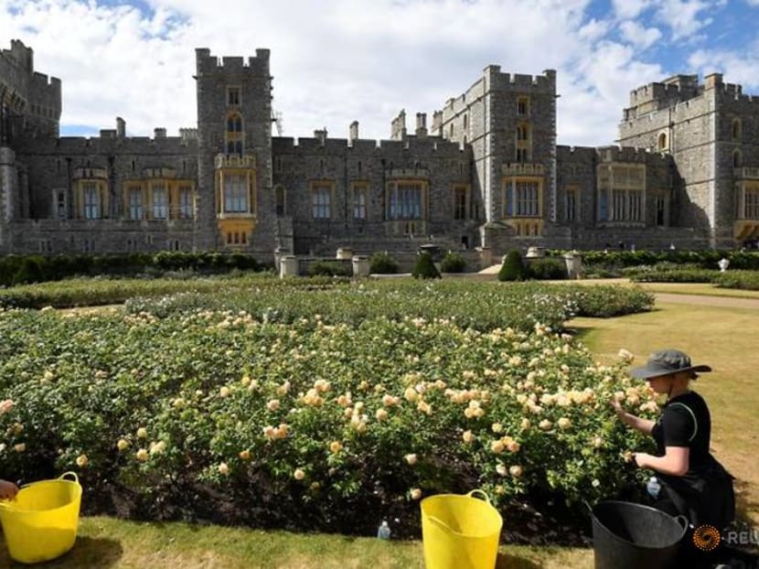 Windsor Castle opens terrace garden to public for first time in 40 years Windsor Castle opens terrace garden to public for first time in 40 years
