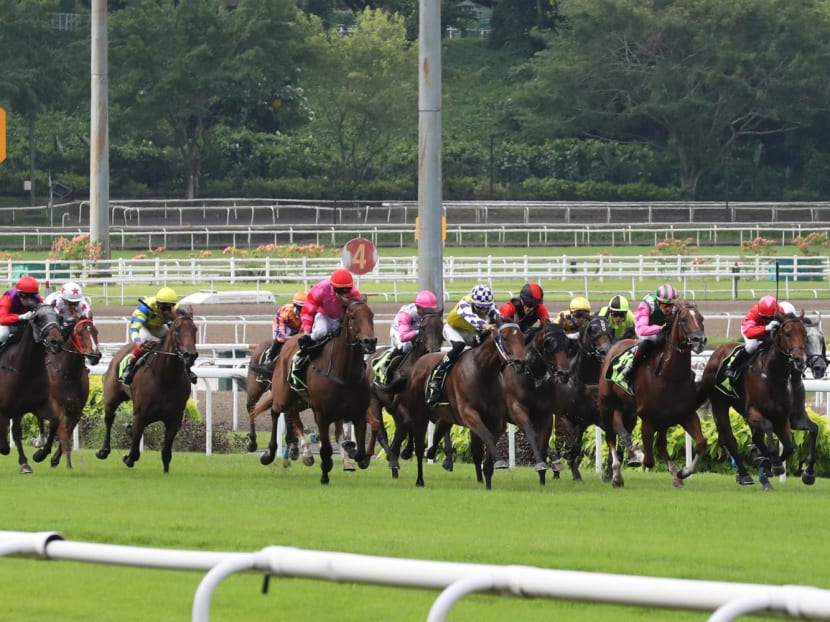 Racehorse owners to call for Govt to postpone Singapore Turf Club’s
