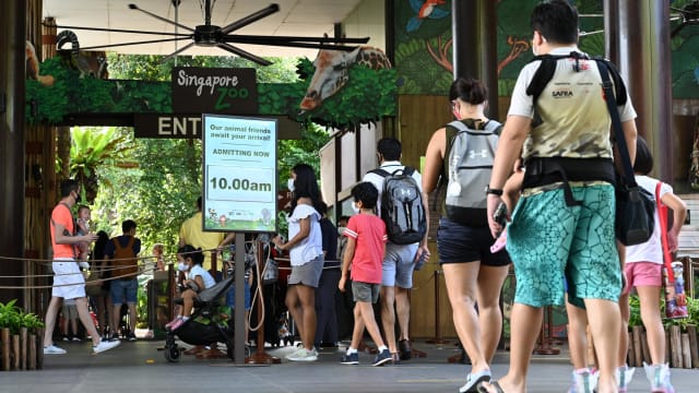 新加坡动物园主办一系列活动 欢庆50周年