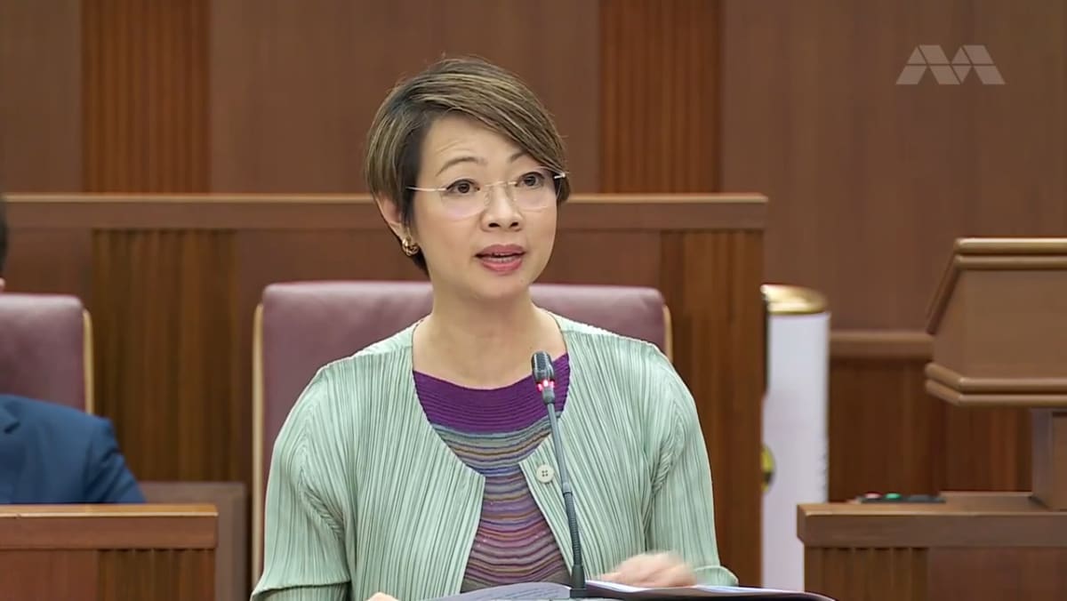 Foo Mee Har on Debt Collection Bill CNA