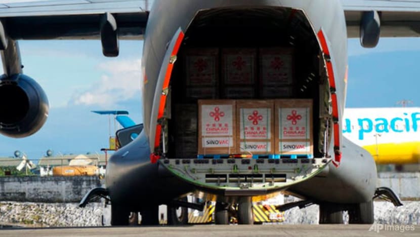 Philippines receives Sinovac's COVID-19 vaccine after delays Philippines receives Sinovac's COVID-19 vaccine after delays