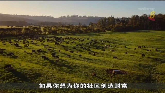 澳洲塔斯马尼亚特殊企业助当地农民实现拥有自家农场愿望