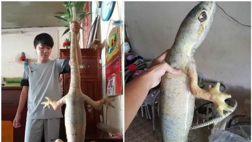 Gambar Pilihan Hari Ini Gambar Pilihan Hari Ini