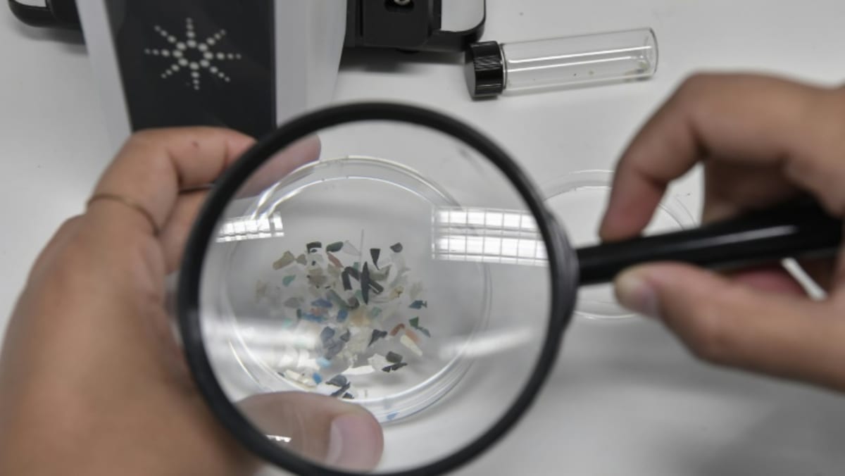 ‘They’re everywhere’: Microplastics in oceans, air and human body