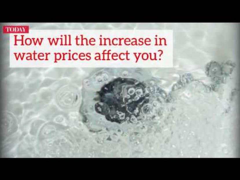 Budget 2017: Water price increases