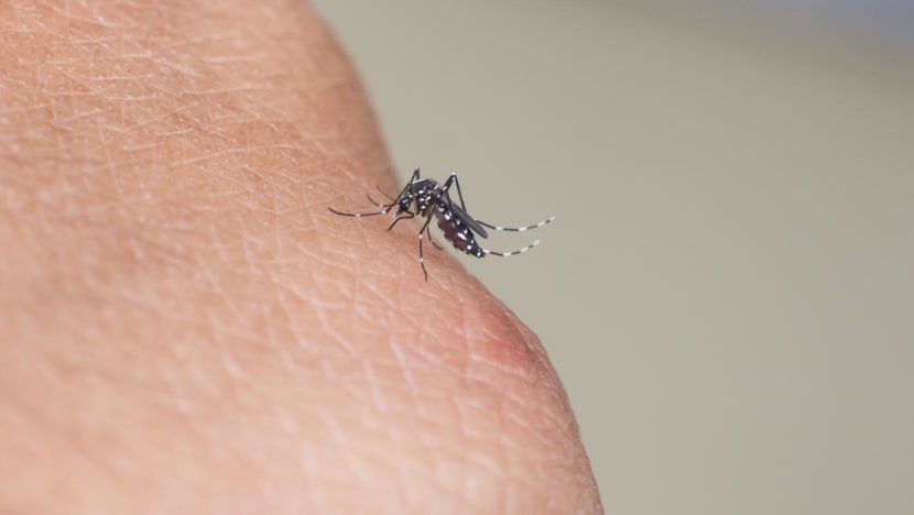 Singapore reports first Zika case since March 2020 Singapore reports first Zika case since March 2020