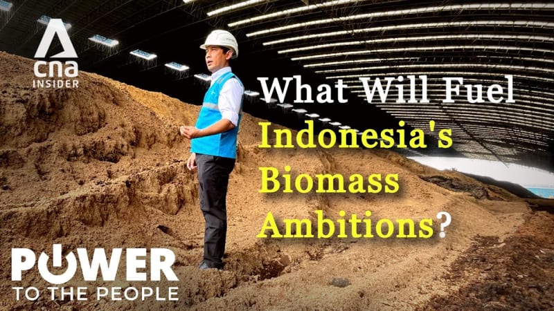 biomass indonesia