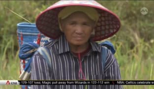 Sustainable farming in Malaysia: Sarawak's Lun Bawang natives seek to introduce Adan rice to the world | Video