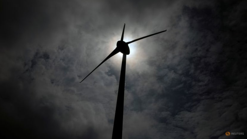 EU considers help for rare earth magnet production: Report EU considers help for rare earth magnet production: Report