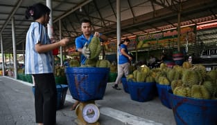 Heatwave hammers Thailand's lucrative durian farms