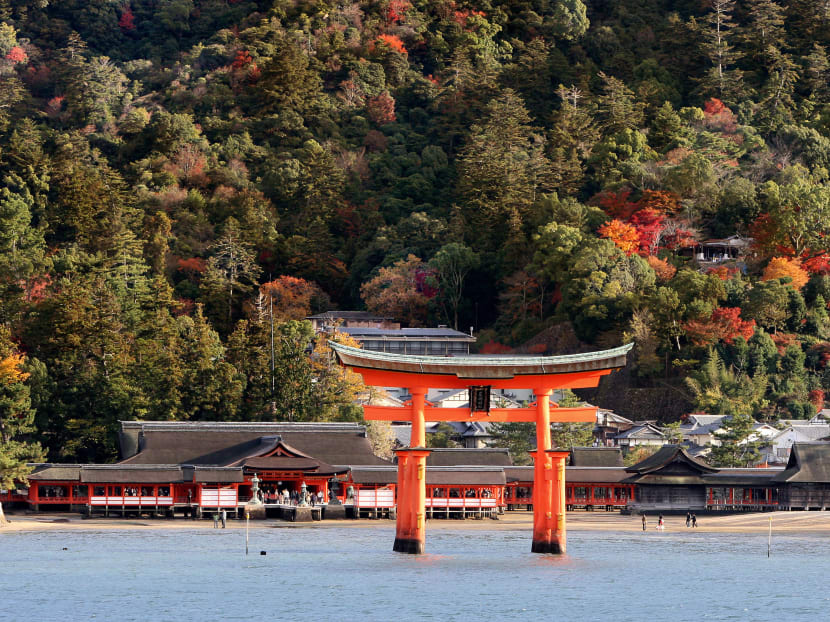 Itsukushima Shrine, which was registered as a Japanese world cultural heritage by UNESCO in December 1996, is covered by colored leaves in Miyajima, Hiroshima Prefecture. The wooden structure on the sea was built in the architectural style of the Heian period in 593. Photo: AFP