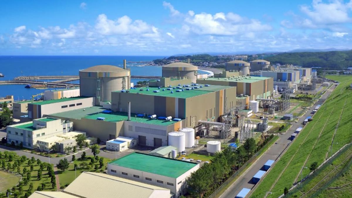 해설 : 한국은 원자력발전의 미래가 어떠한 것인지를 보여준다
